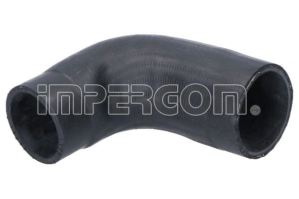 Charge Air Hose 17171