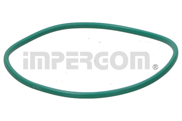 Gasket, fuel pump 25204