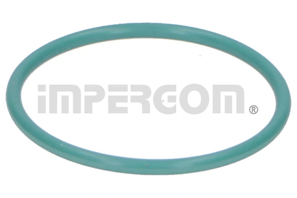 Seal Ring, charge air hose 20296