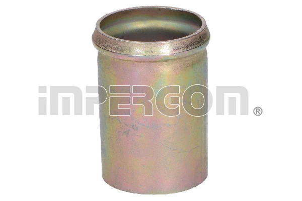 Coolant Pipe 80245
