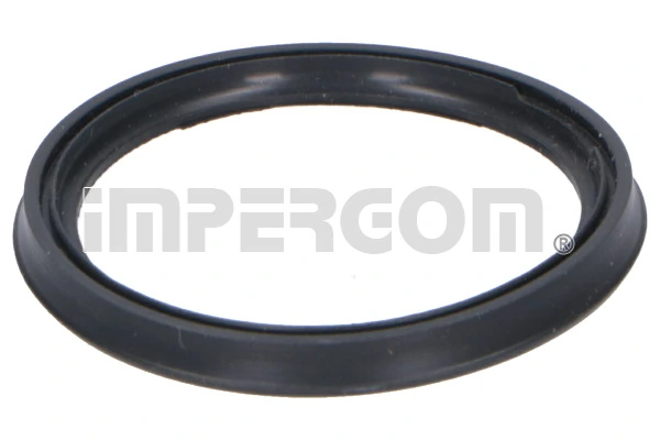 Seal Ring, charge air hose 20289