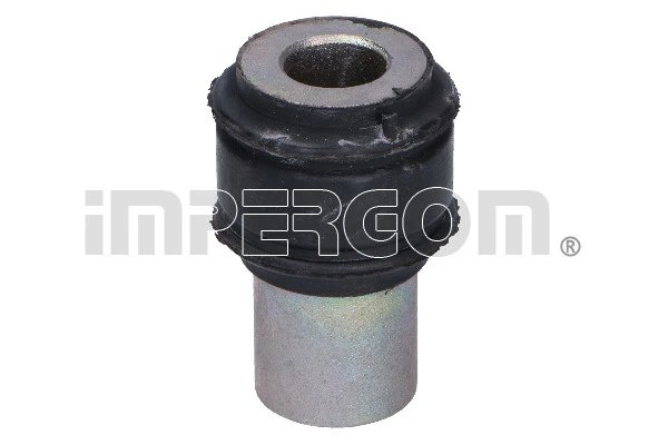 Mounting, control/trailing arm 1894