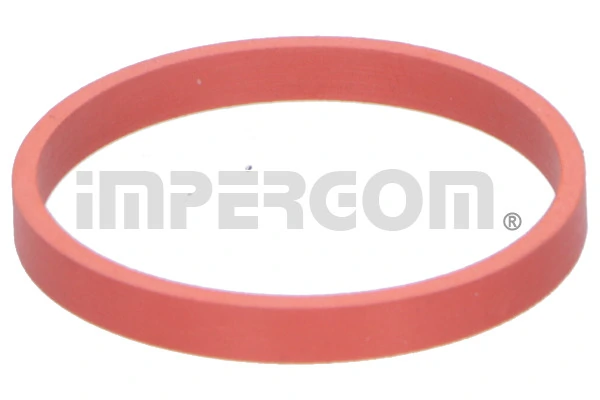 Seal Ring, charge air hose 20287