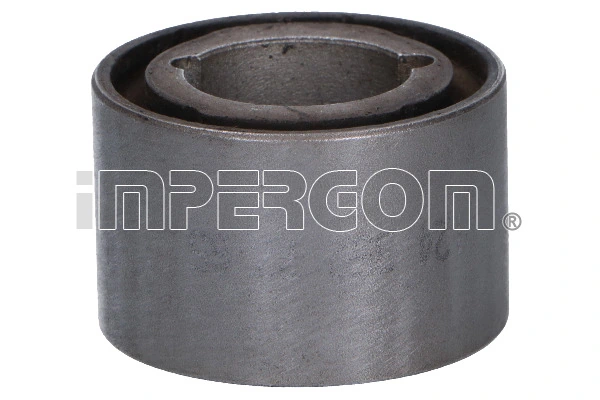 Bushing, axle beam 31889