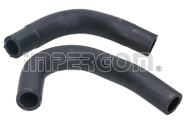 Pipe, EGR valve 17173