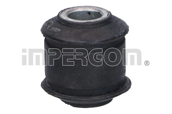 Mounting, control/trailing arm 1895