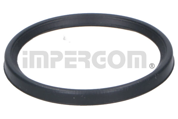 Seal Ring, charge air hose 20294