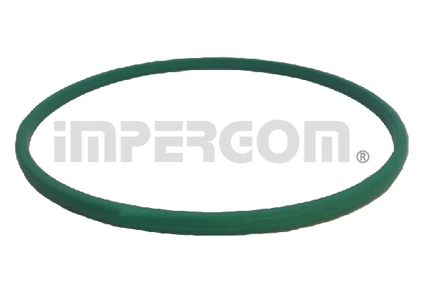 Gasket, fuel pump 25645