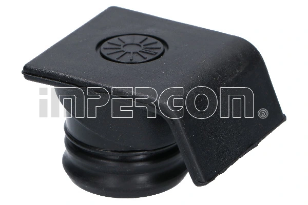 Sealing Cap, oil filler neck 29631