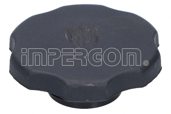 Sealing Cap, oil filler neck 43044