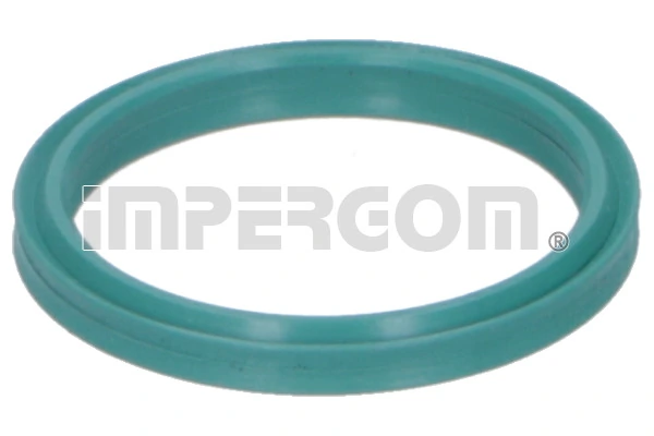 Seal Ring, charge air hose 20291