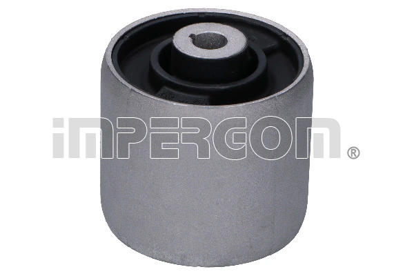 Mounting, control/trailing arm 1309