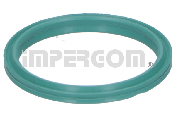 Seal Ring, charge air hose 20292