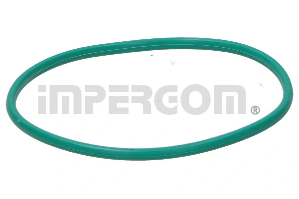 Gasket, fuel pump 25207