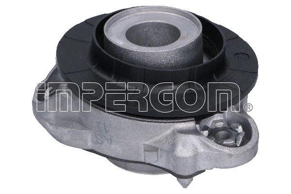 Repair Kit, suspension strut support mount 29184