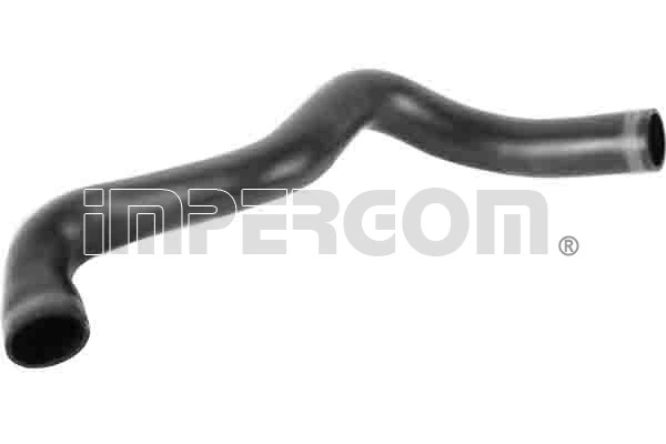 Charge Air Hose 19184