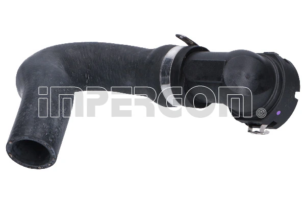 Radiator Hose 17213