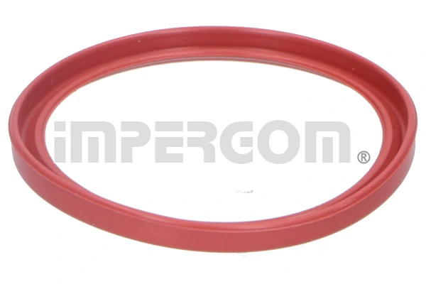 Seal Ring, charge air hose 20288