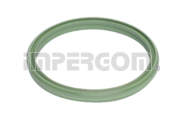 Seal Ring, charge air hose 20286