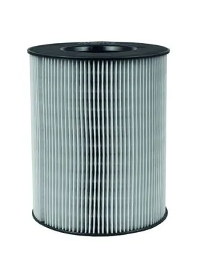 Air Filter LX 794