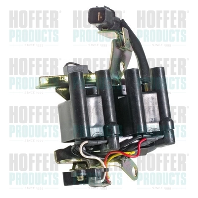 Ignition Coil 8010437