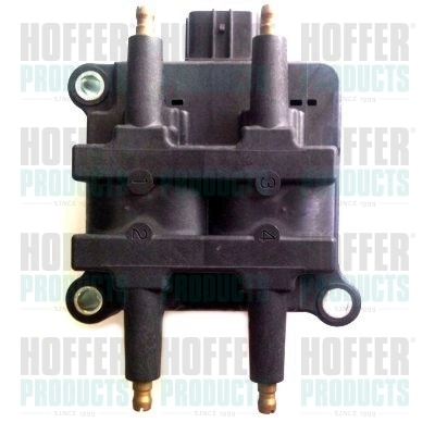 Ignition Coil 8010653