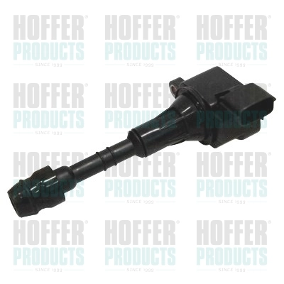 Ignition Coil 8010633