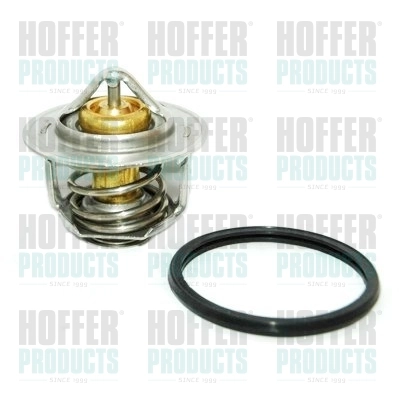 Thermostat, coolant 8192211