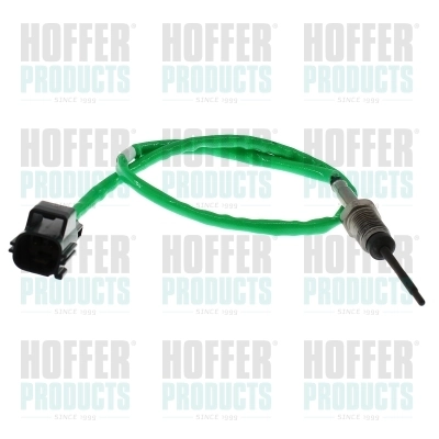 Sensor, exhaust gas temperature 7452817