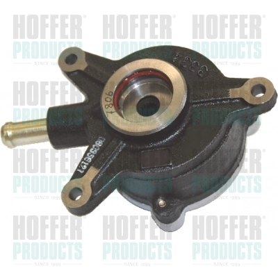 Vacuum Pump, braking system 8091088