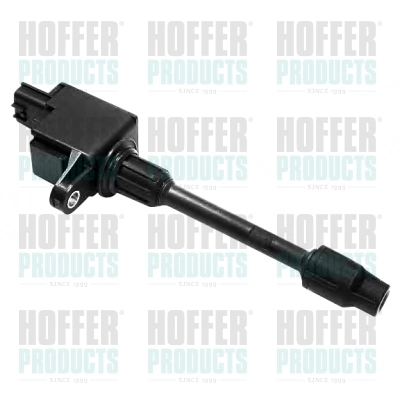 Ignition Coil 8010517