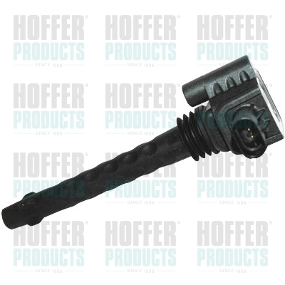 Ignition Coil 8010687