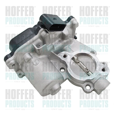 EGR Valve 7518872