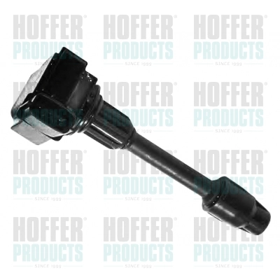 Ignition Coil 8010516