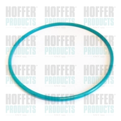 Seal, fuel tank cap GSK01