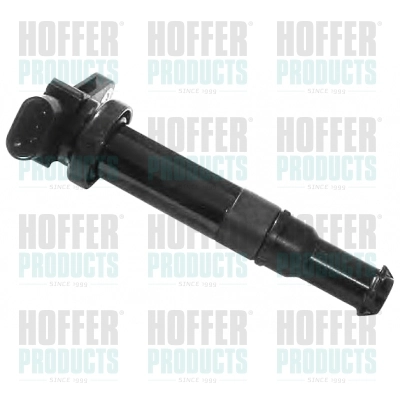Ignition Coil 8010585