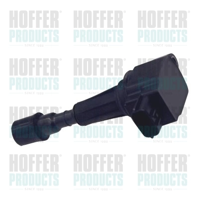 Ignition Coil 8010660