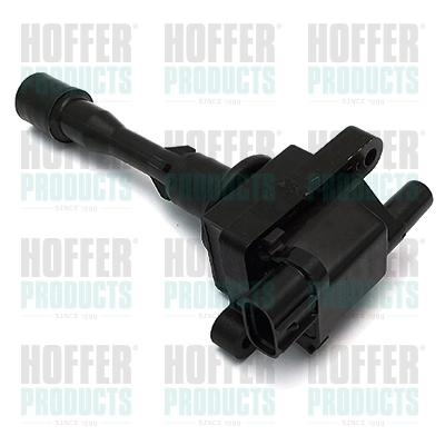Ignition Coil 8010694