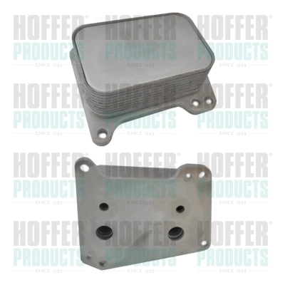 Oil Cooler, engine oil 8095196