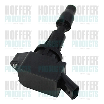 Ignition Coil 8010824