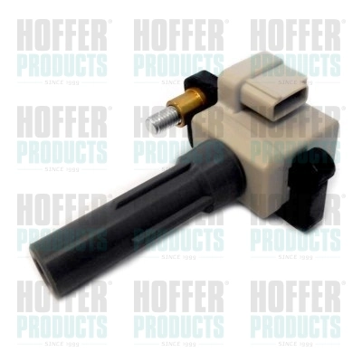 Ignition Coil 8010775