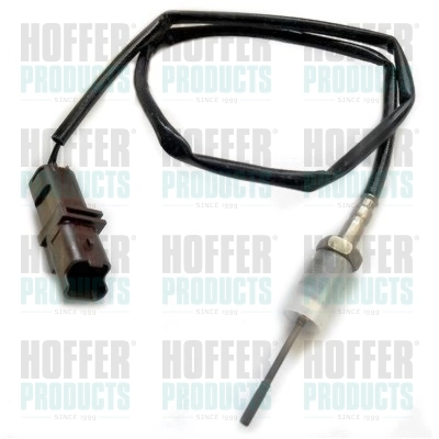 Sensor, exhaust gas temperature 7452286