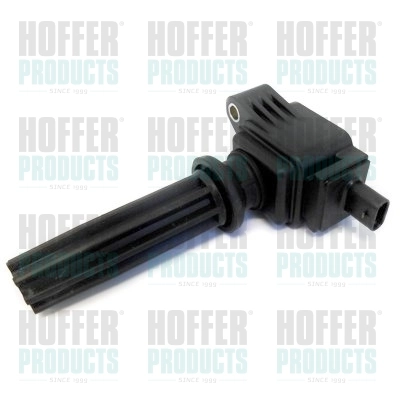 Ignition Coil 8010767