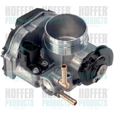 Throttle Body 7519023