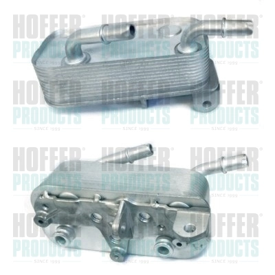 Oil Cooler, engine oil 8095026