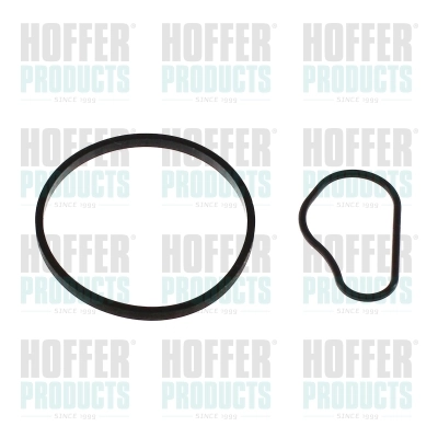 Gasket, vacuum pump 91252