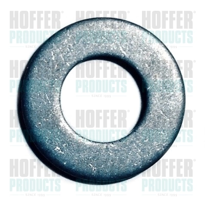 Seal Ring, nozzle holder 8029708