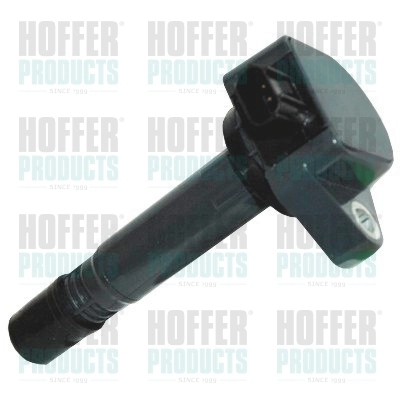 Ignition Coil 8010649