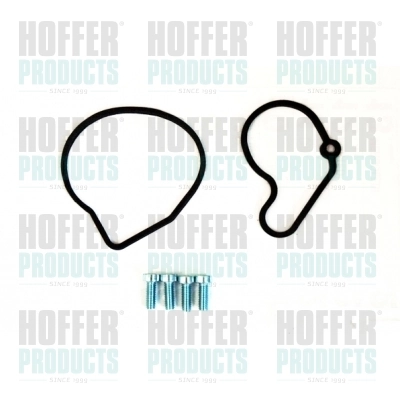 Repair Set, vacuum pump (braking system) 91114