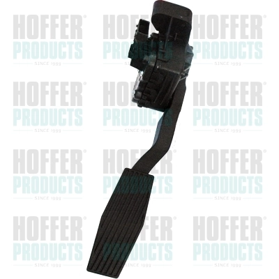 Accelerator Pedal Unit 7513537